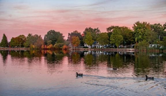 a group of ducks swimming on a lake at sunset