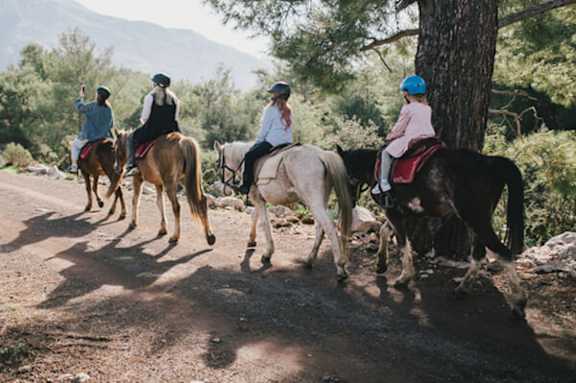 Four people riding horses on a dirt road.