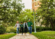 Thumbnail 5 of 6 - Four people walking on a path in a park.