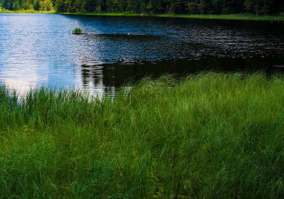 Top 10 Things to do in St. Cloud, MN - Pointe West