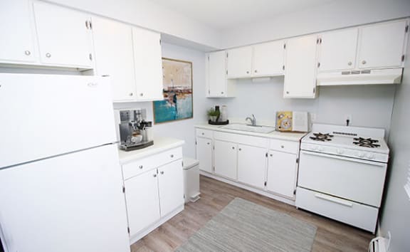 a kitchen with a stove a refrigerator and a sink