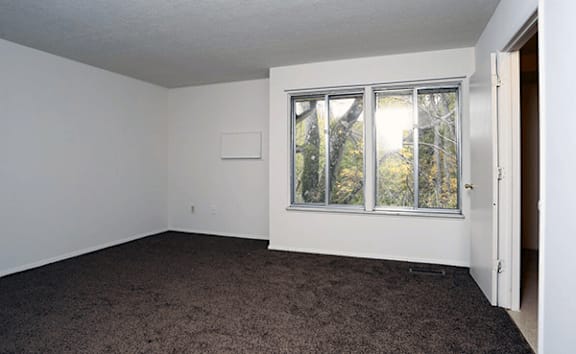 A room with a carpeted floor and a window with a view of trees outside.