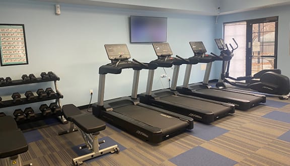 a row of treadmills and elliptical trainers in a fitness room