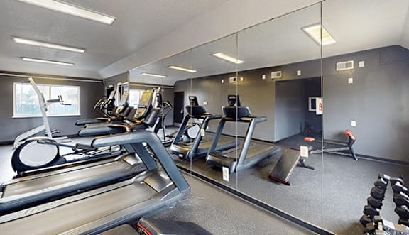 A gym with treadmills, weights and mirrors.