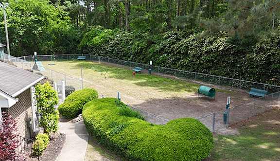 A backyard with a green lawn and a fence.