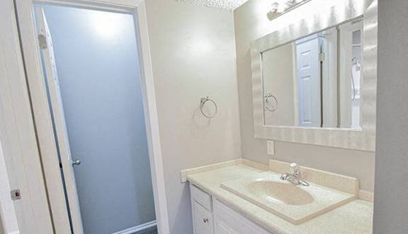 a bathroom with a sink and a mirror and a shower