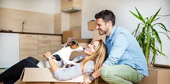 a couple playing with their dog in a cardboard box