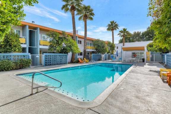 A swimming pool in a sunny outdoor setting.
