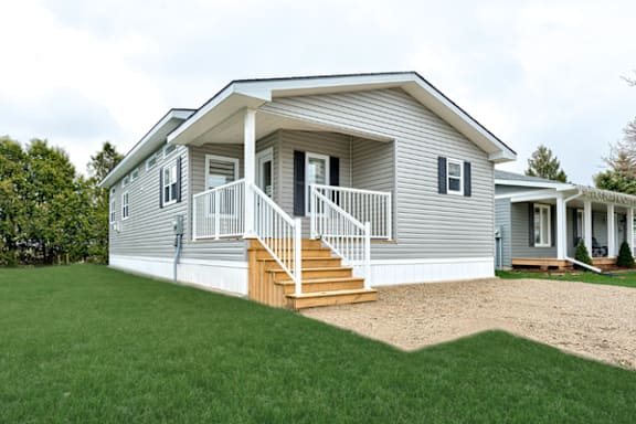 A white house with a porch and a tree on the roof.