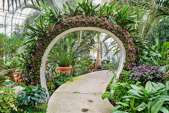 A green plant archway in a greenhouse.