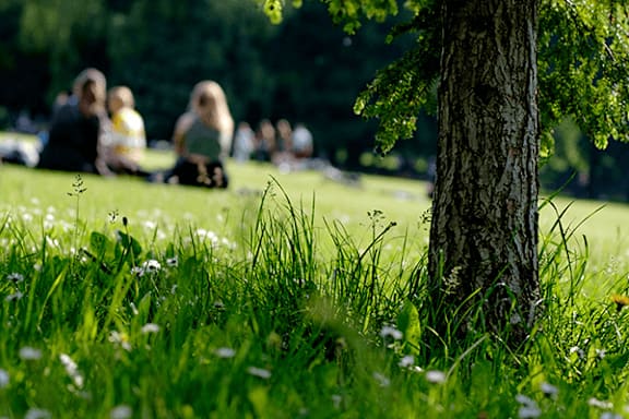 A group of people sitting on the grass in a park.