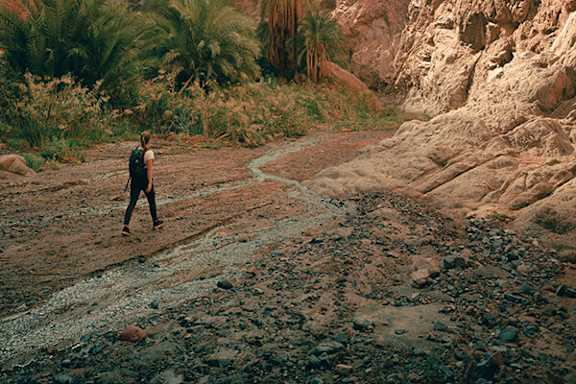 A person is walking on a rocky path in a desert-like environment.