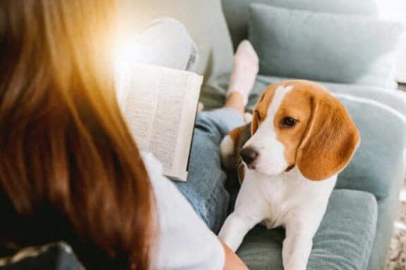 a woman reading a book with her dog on the couch
