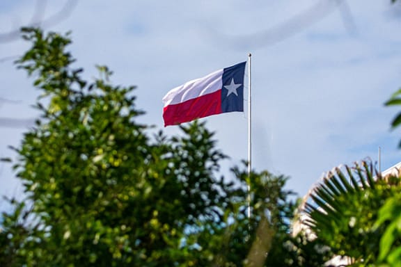 the flag of the state flies above a tree