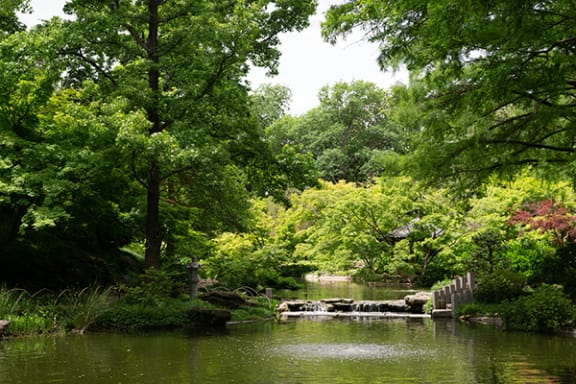 a lake in a park with trees and a bridge