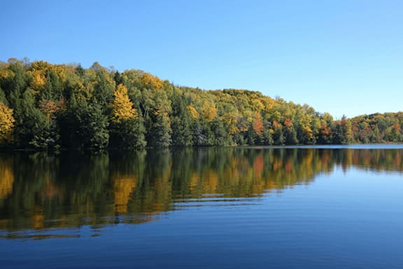 A serene lake surrounded by a forest of trees with autumn foliage.