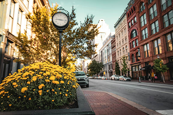 A street view with a flower bed and a clock.