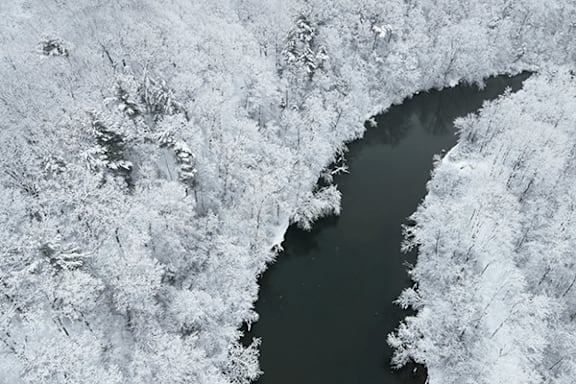 A frozen river flows through a forest.