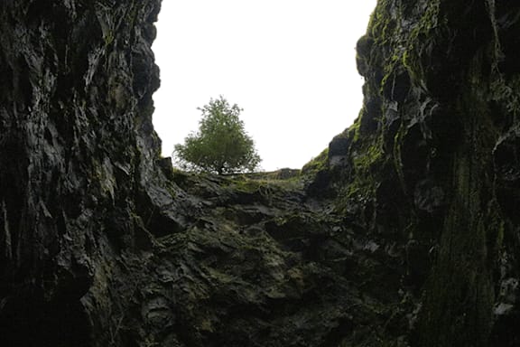 A tree grows in the distance between two rocky cliffs.