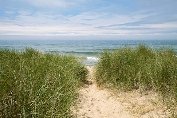 A path through the sand dunes leading to the ocean.
