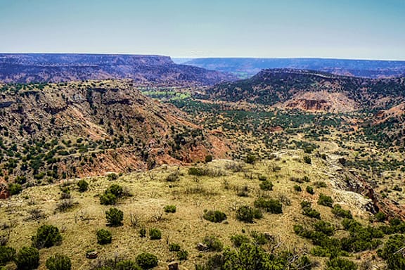 A vast landscape of a canyon with greenery and rocky mountains.