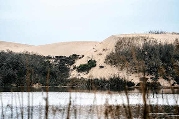 A serene landscape with a body of water in the foreground and a sand dune in the background.