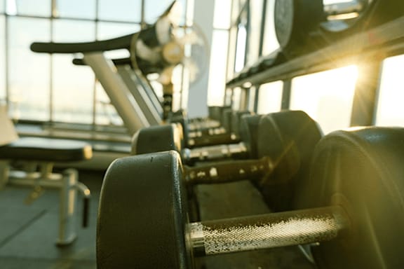 A row of empty gym equipment is bathed in sunlight.