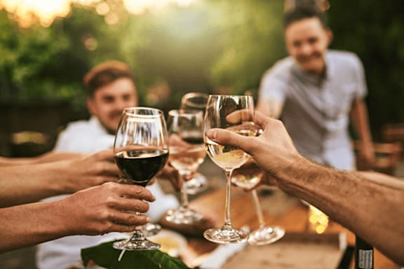 A group of people toasting with wine glasses in a social setting.