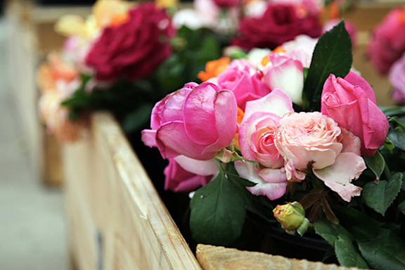 A bouquet of pink and white roses in a wooden box.