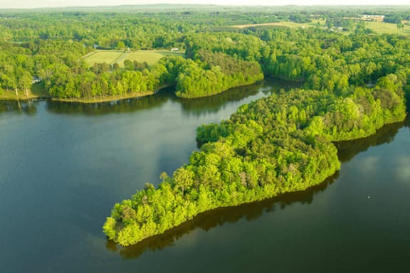 A large island surrounded by water with a lot of trees.