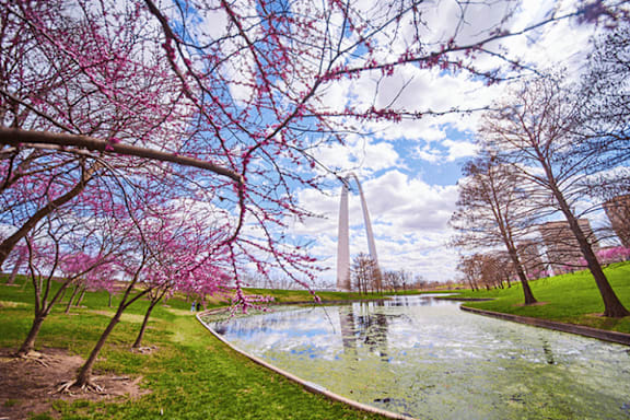 A beautiful landscape with a pond, trees, and a monument in the background.