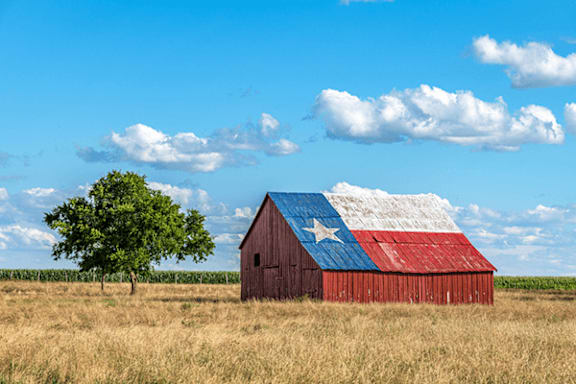 A barn with a Texas flag painted on it sits in a field.