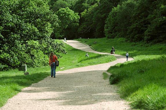 A person in a red shirt is walking down a gravel path in a green park.