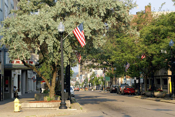 A street scene with a tree, a fire hydrant and a flag.