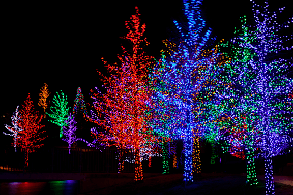 A group of trees are decorated with colorful lights.