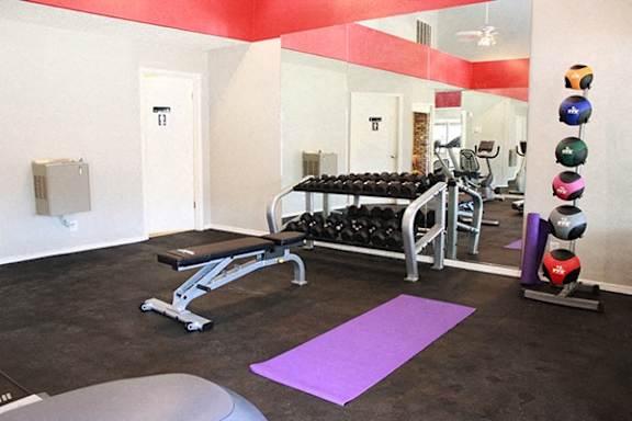 A gym with a purple mat and a row of exercise balls.