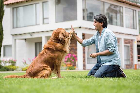 A man is giving a high five to a dog in front of a house.