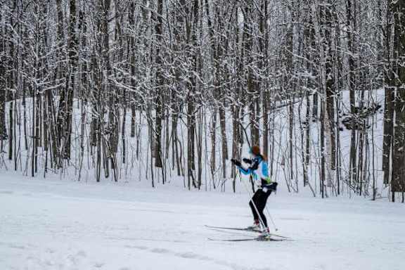 two people are skiing in the snow in the woods