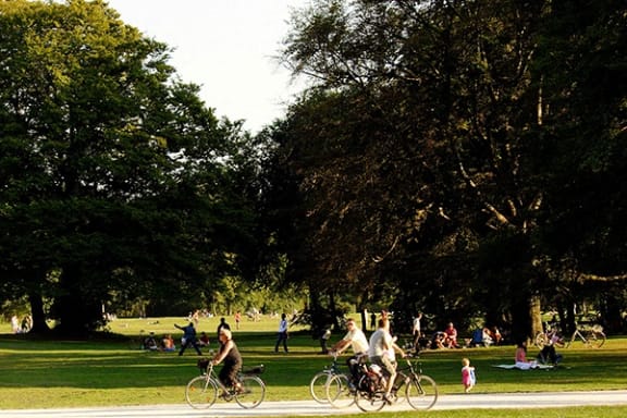 a group of people riding bikes in a park