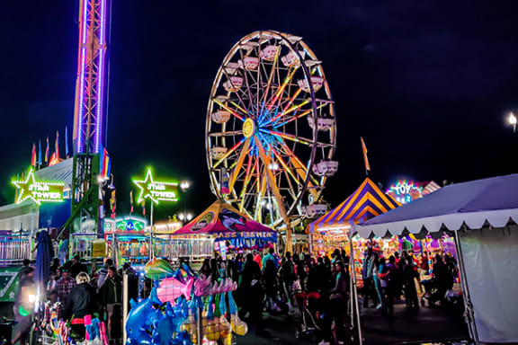 a ferris wheel at a carnival at night