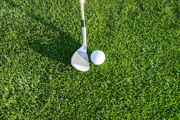 a golf ball and a club on the grass