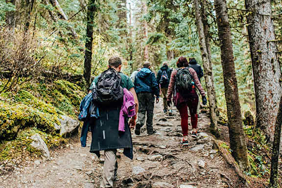 A group of people hiking in a forest.