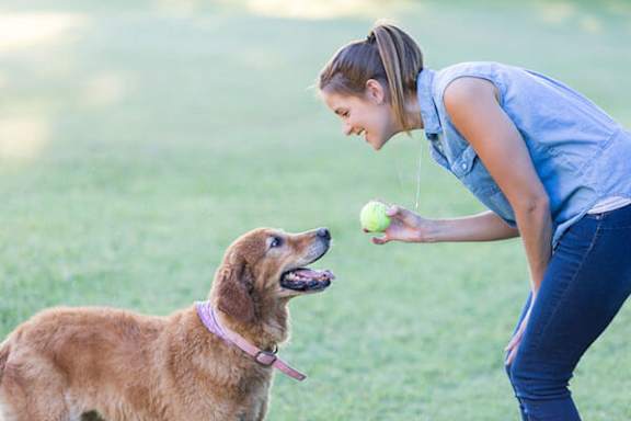A woman playing with a dog in a park.