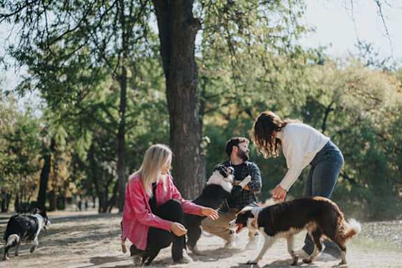Three people playing with dogs in a park.