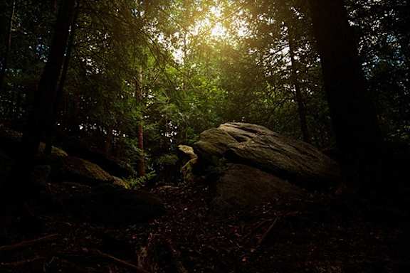 A large rock sits in the middle of a forest with sunlight streaming through the trees.