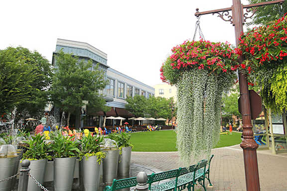 A man and a boy are walking along a water feature.