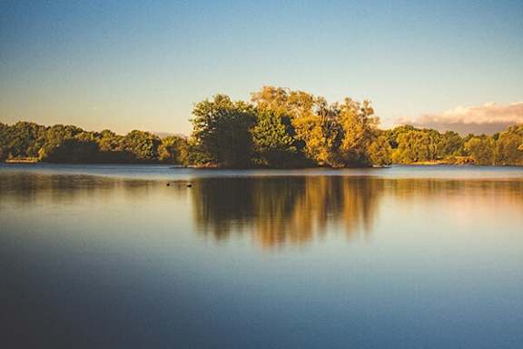 A serene lake with a tree in the background and its reflection visible on the water's surface.