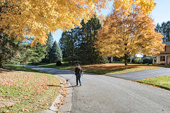 A man walking his dog on a leaf-covered street.