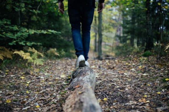 a person walking on a log in the woods