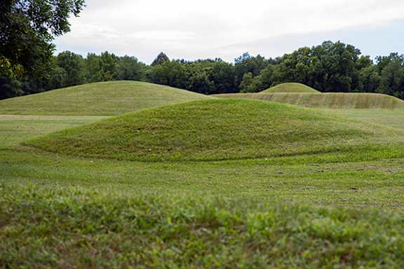 A grassy field with a hill in the middle and trees in the background.